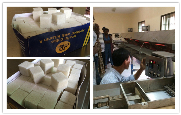 200KG/H Sugar Cube Production Line Manufacturer